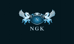 Team NGK